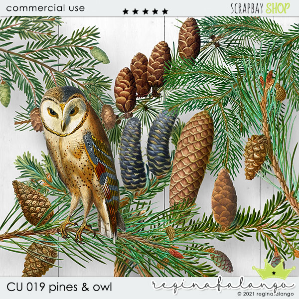 CU 019 PINES AND OWL - Click Image to Close