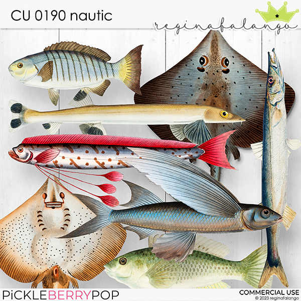 CU 0190 NAUTIC - Click Image to Close