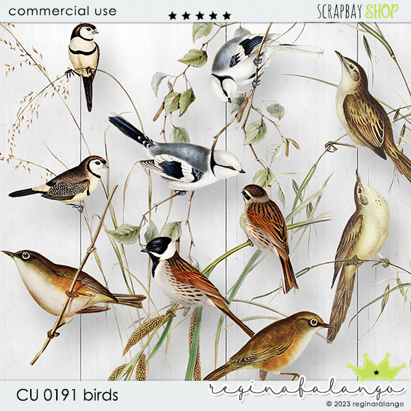 CU 0191 BIRDS - Click Image to Close