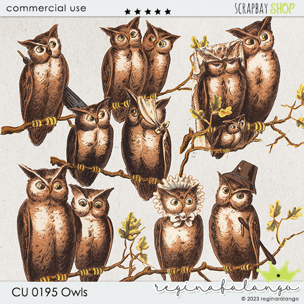 CU 019 PINES AND OWL - Click Image to Close