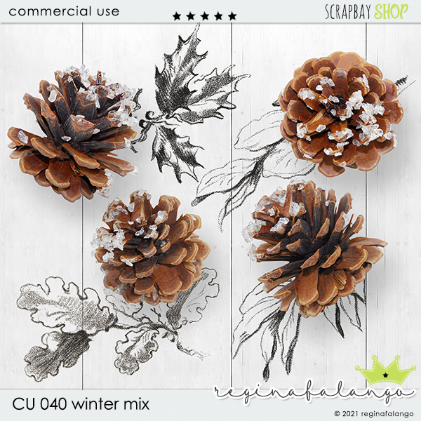 CU 040 WINTER MIX - Click Image to Close