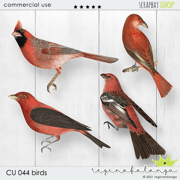 CU 044 BIRDS - Click Image to Close