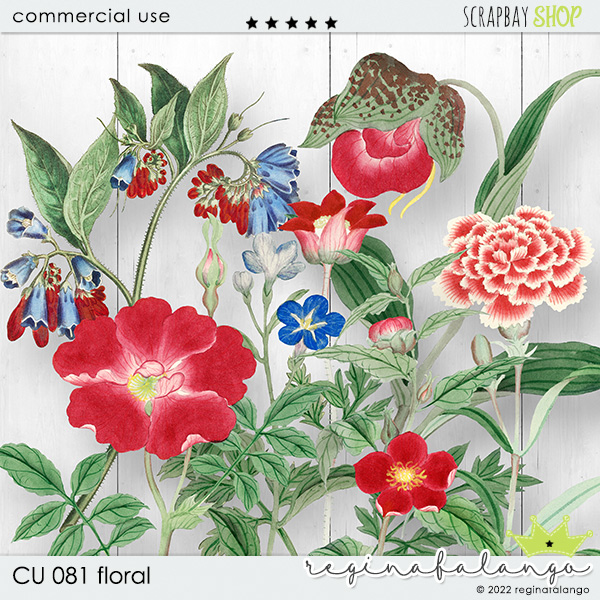 CU 081 FLORAL - Click Image to Close