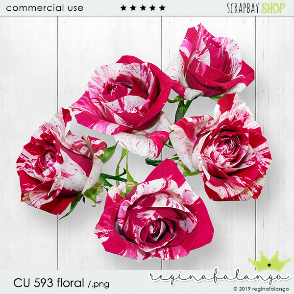 CU 593 FLORAL - Click Image to Close