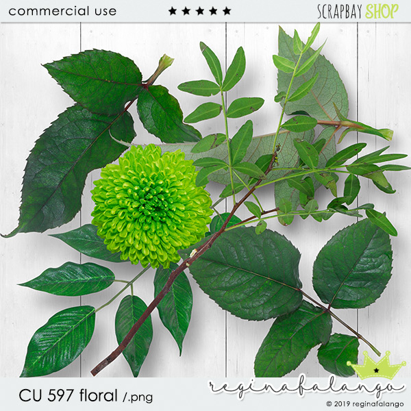 CU 597 FLORAL - Click Image to Close