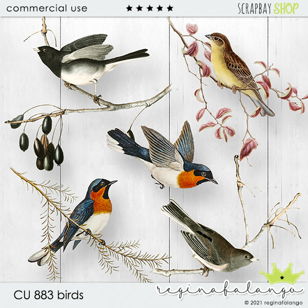 CU 883 BIRDS - Click Image to Close
