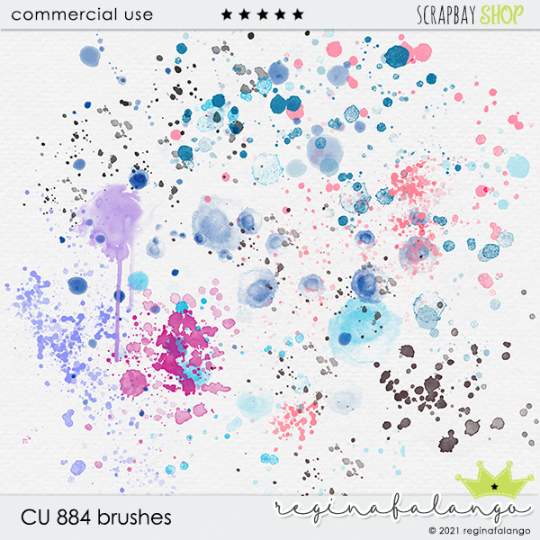 CU 884 BRUSHES