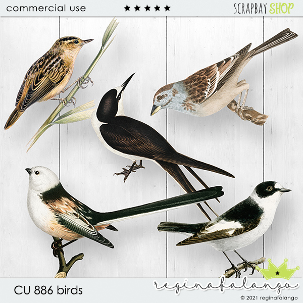 CU 886 BIRDS - Click Image to Close