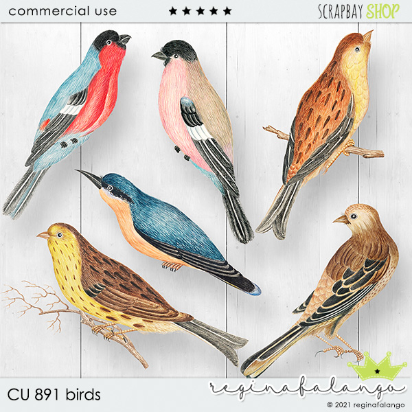 CU 891 BIRDS - Click Image to Close