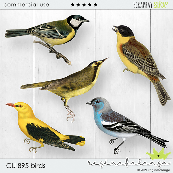 CU 895 BIRDS - Click Image to Close
