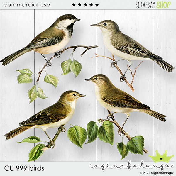 CU 999 BIRDS
