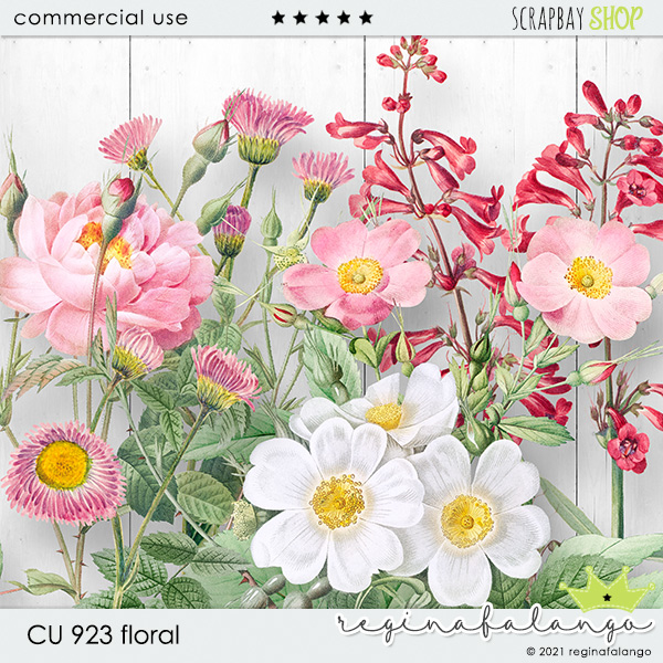 CU 923 FLORAL - Click Image to Close