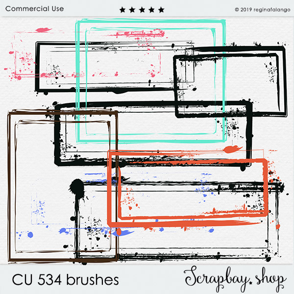 CU 534 BRUSHES