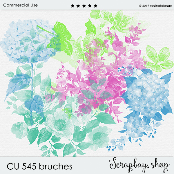 CU 545 BRUSHES - Click Image to Close