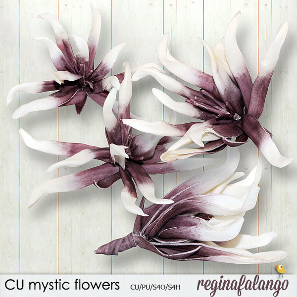 MYSTIQUES FLOWERS