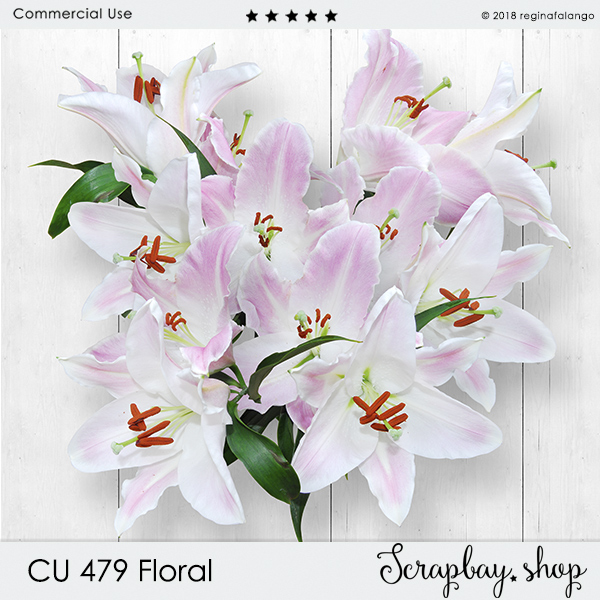 CU 479 FLORAL - Click Image to Close