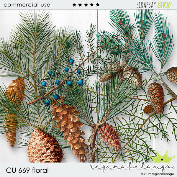 CU 669 FLORAL - Click Image to Close