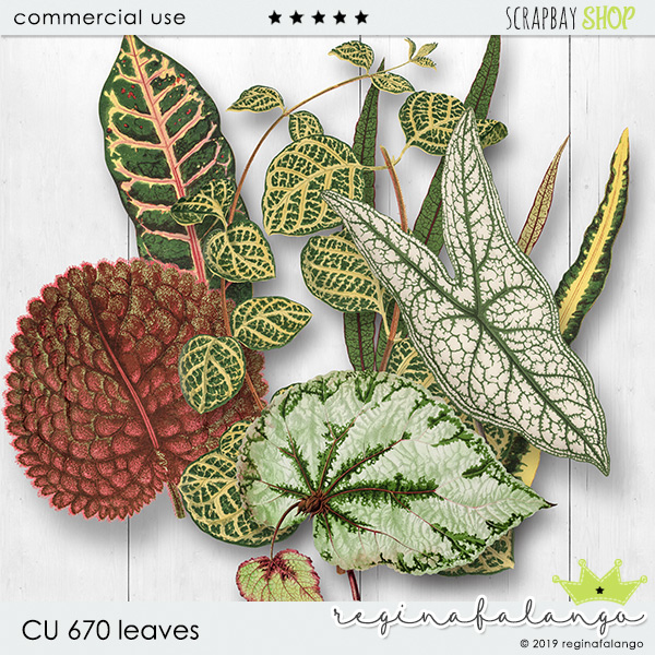 CU 670 LEAVES - Click Image to Close