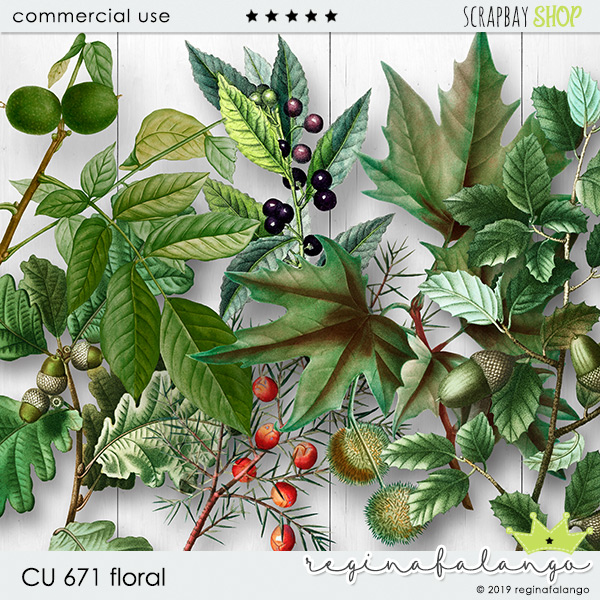 CU 671 FLORAL - Click Image to Close