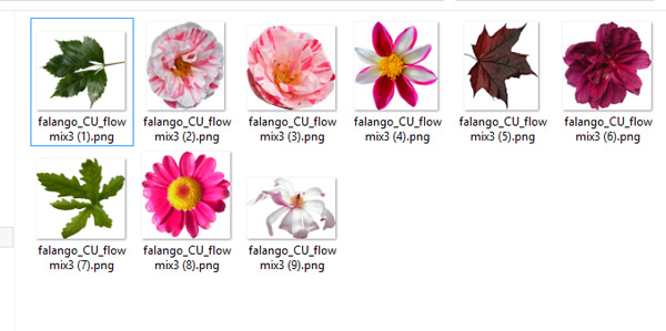 FLORAL MIX 03 - Click Image to Close