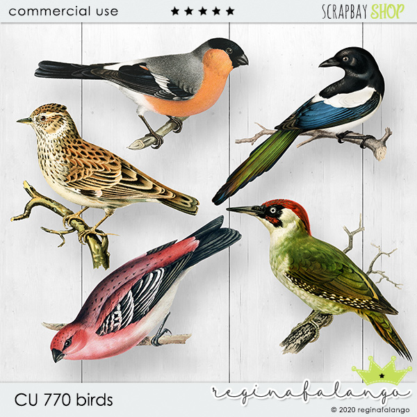 CU 770 BIRDS