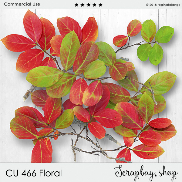 CU 466 FLORAL - Click Image to Close