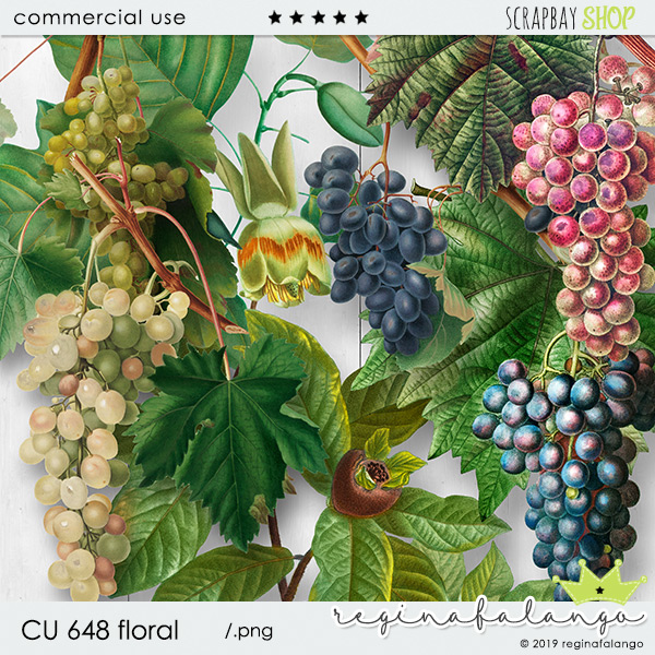 CU 648 FLORAL - Click Image to Close