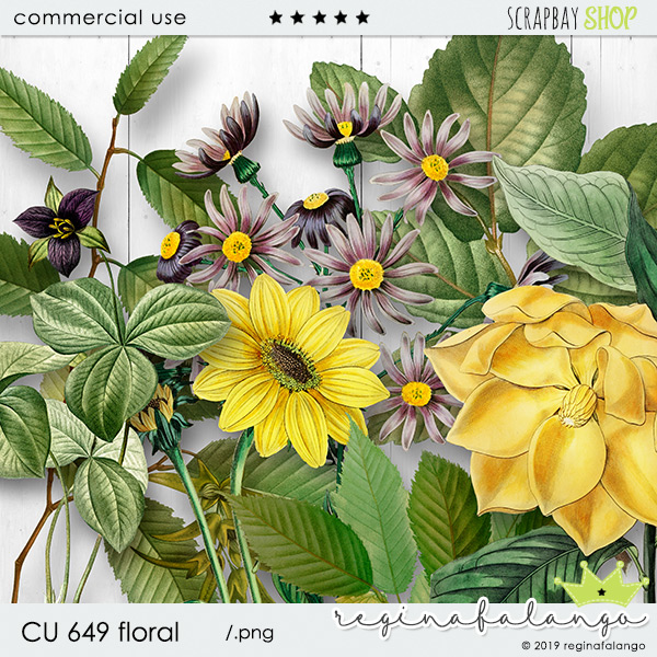 CU 649 FLORAL