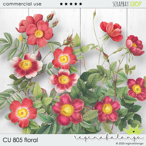 CU 805 FLORAL