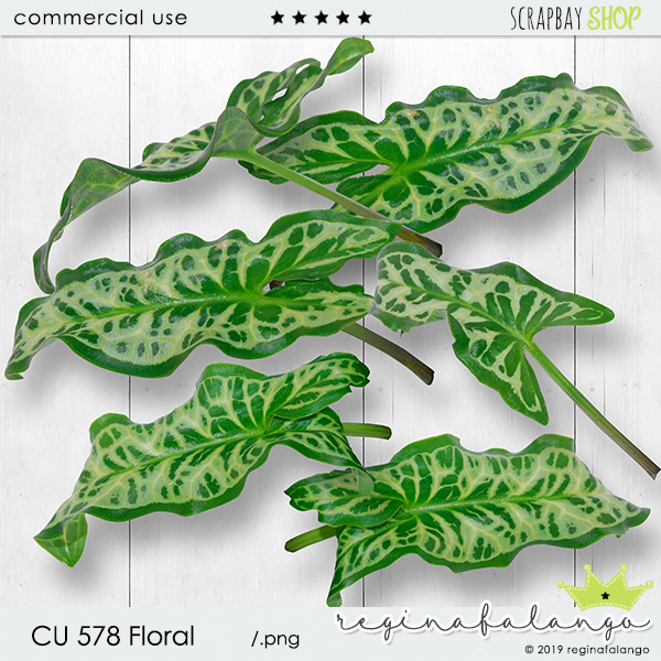 CU 578 FLORAL - Click Image to Close