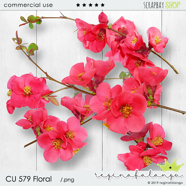 CU 579 FLORAL - Click Image to Close