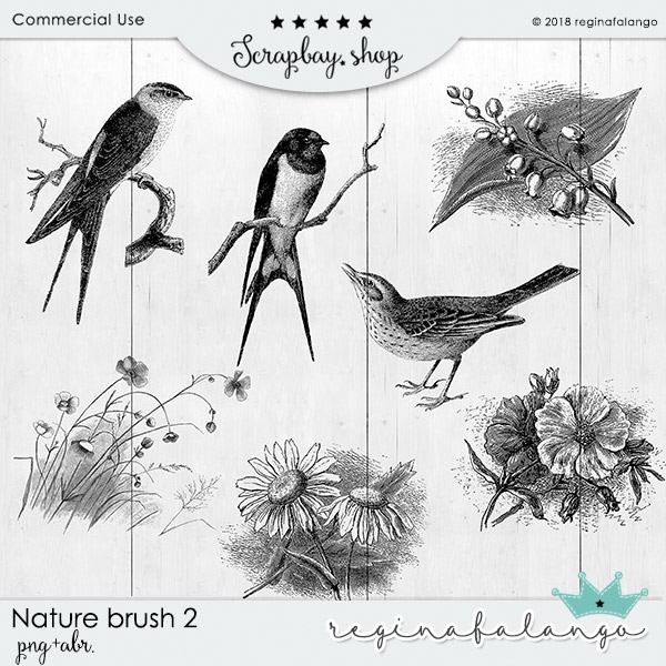 NATURE BRUSH 2