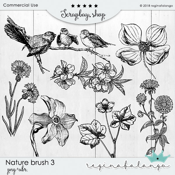 NATURE BRUSH 3 - Click Image to Close