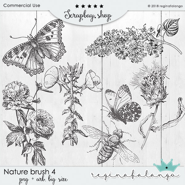 NATURE BRUSH 4