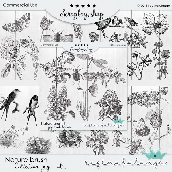 NATURE BRUSH COLECTION - Click Image to Close