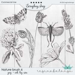 NATURE BRUSH 6