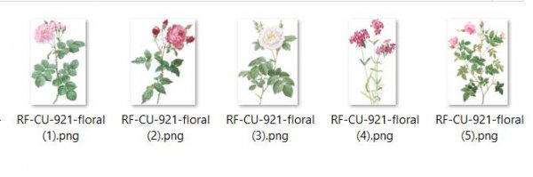 CU 921 FLORAL - Click Image to Close