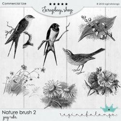 NATURE BRUSH 2