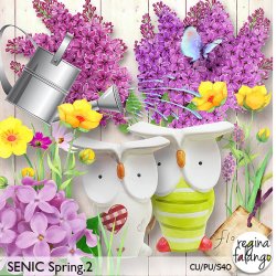SCENIC SPRING 02 SCENIC SPRING 02