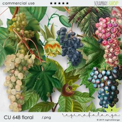CU 648 FLORAL